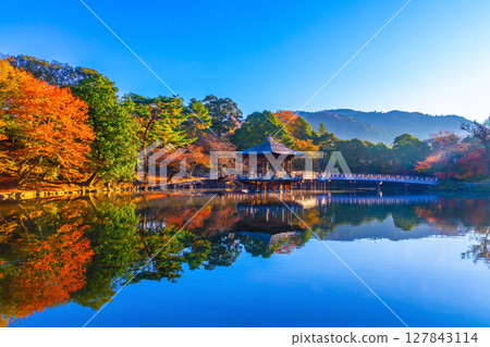 奈良古城浮見堂的秋葉 127843114