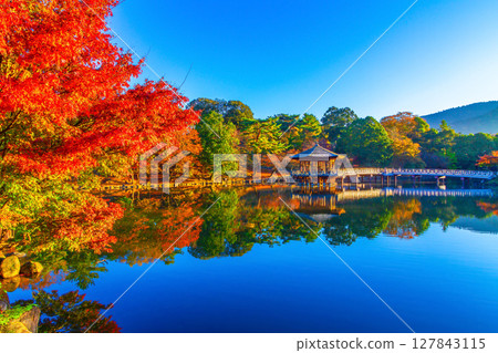 奈良古城浮見堂的秋葉 奈良古城浮見堂的秋葉 127843115