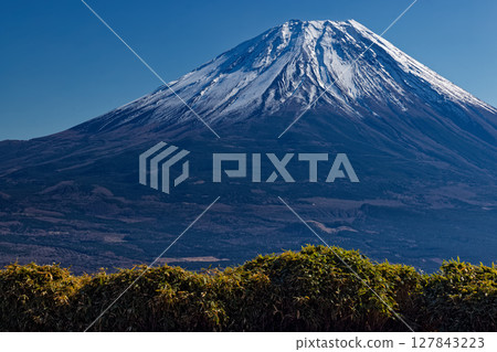 從龍岳眺望初冬的富士山 127843223