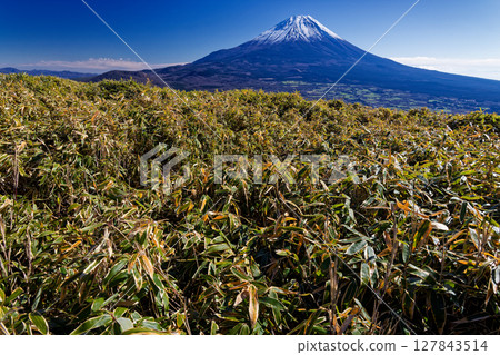 Mount Fuji in early winter as seen from Mount Ryugatake Mount Fuji in early winter as seen from Mount Ryugatake 127843514