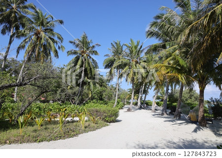 Beautiful scenery in the Maldives Beautiful scenery in the Maldives 127843723
