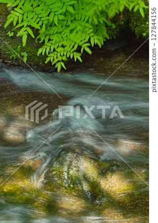 Enjoy the coolness of nature 127844156