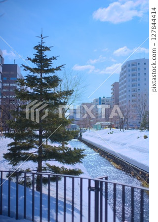 Winter day with snow covered river and towering coniferous trees in cityscape Winter day with snow covered river and towering coniferous trees in cityscape 127844414