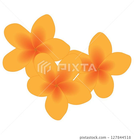 Plumeria Orange 127844518