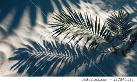 Palm Leaves and Shadows on Sandy Beach 127845152