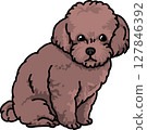 Toy poodle color transparent background dog illustration 127846392