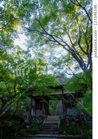 Niben gate of Jogakkoji Temple 127846396