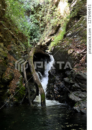 Toba's saddlebone flows down into the dead end of the Irigawa forest road 127846451