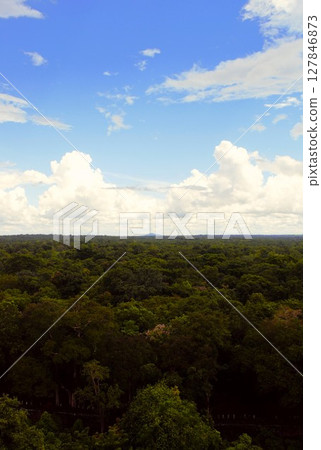 View from the Koh Ker ruins Cambodia 2 View from the Koh Ker ruins Cambodia 2 127846873