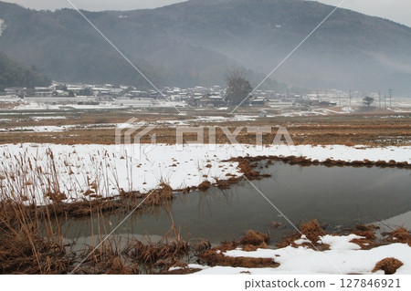 冬季沼澤和白雪覆蓋的稻田 冬季沼澤和白雪覆蓋的稻田 127846921