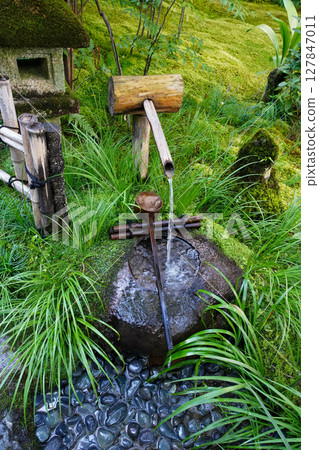 Stone basin in the garden of Gionji Temple 127847011