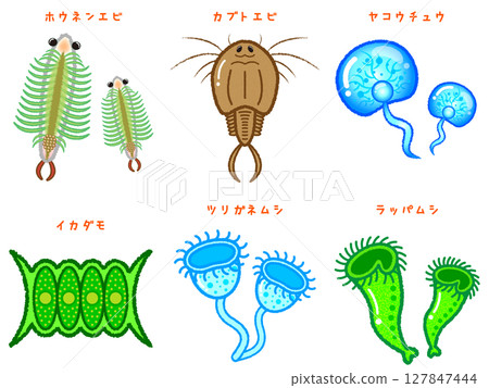 可愛的微生物和浮游生物列表插圖素材集2 127847444