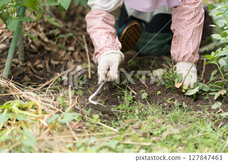 一位老婦人用旋轉鐮刀在田裡除草 園藝 一位老婦人用旋轉鐮刀在田裡除草 園藝 127847463
