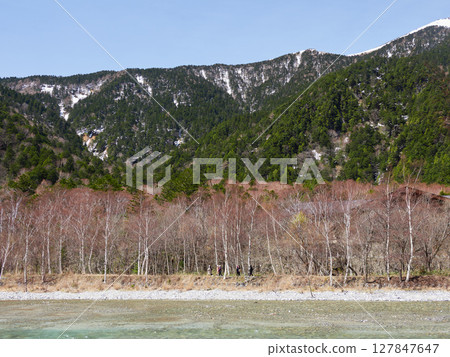 春季旅遊勝地：上高地的梓川和白雪皚皚的穗高山脈 127847647