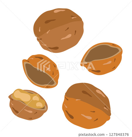 簡單的核桃圖 簡單的核桃圖 127848376