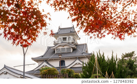 Nagahama Castle and autumn leaves at dusk in autumn. Nagahama, Shiga Prefecture, Japan Nagahama Castle and autumn leaves at dusk in autumn. Nagahama, Shiga Prefecture, Japan 127848392
