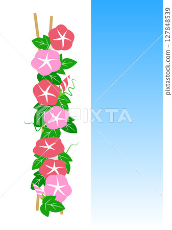 簡單的牽牛花裝飾插畫素材 簡單的牽牛花裝飾插畫素材 127848539