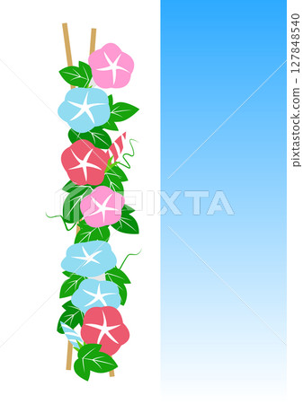 簡單的牽牛花裝飾插畫素材 127848540
