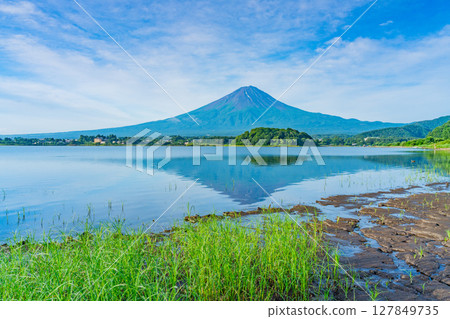 (Yamanashi Prefecture) Oishi Park, Mount Fuji seen over the drought-filled Lake Kawaguchi 127849735