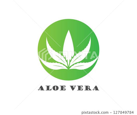 Aloe vera logo vector 127849784
