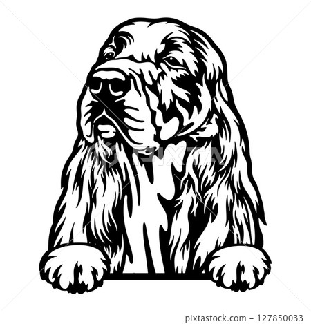 Cocker Spaniel Dog - Peeking Dog Breed - Pet Dog Vector Portrait, Dog Silhouette Stencil Cocker Spaniel Dog - Peeking Dog Breed - Pet Dog Vector Portrait, Dog Silhouette Stencil 127850033
