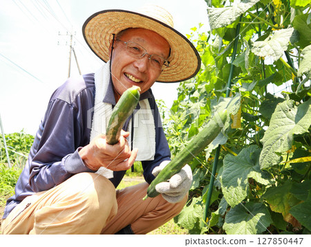 Seniors holding harvested vegetables 127850447