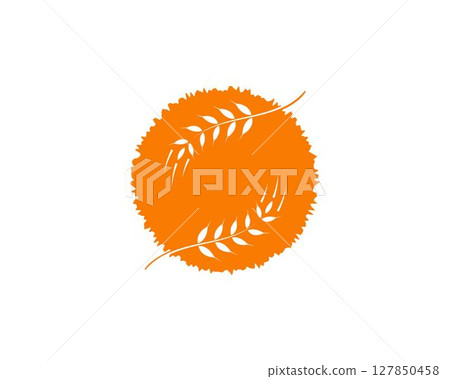 wheat Logo Template vector wheat Logo Template vector 127850458