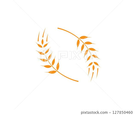 wheat Logo Template vector wheat Logo Template vector 127850460
