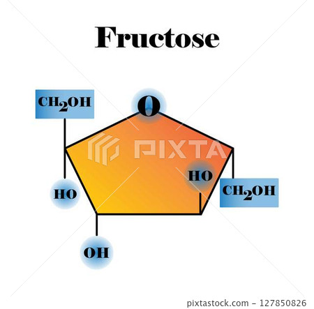 illustration of biology and chemistry, Fructose molecular, Molecular formula and chemical structure of fructose, fructose monosaccharide, simple sugar 127850826