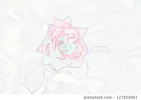 “紅玫瑰花”插圖圖像 127850881
