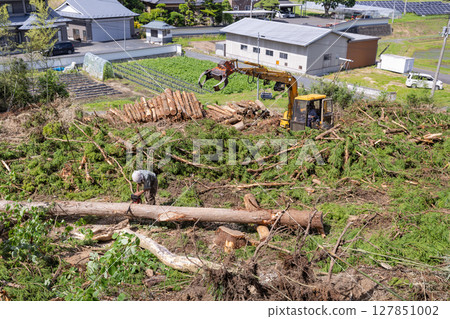 用電鋸在後山上伐木 127851002