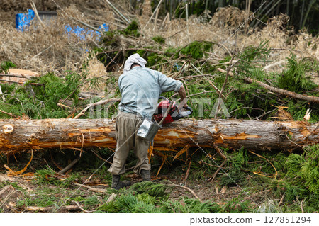 Logging work on the back mountain with a chainsaw Logging work on the back mountain with a chainsaw 127851294