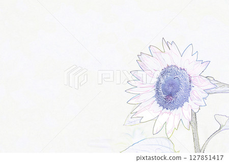"Sunflower" illustration image 127851417