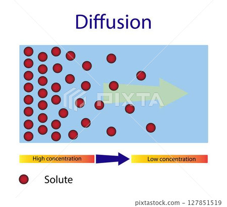 illustration of chemistry, Diffusion process, Diffusion is movement of molecules and atoms from a region of higher concentration to a region of lower concentration 127851519