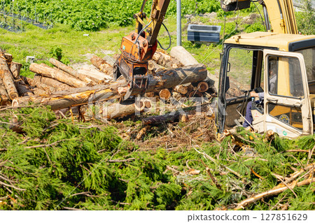 Felling work using a forestry machine Gripple attachment 127851629