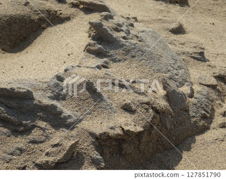 [鳥取縣] 鳥取沙丘：沙塊（鳥取市） 127851790