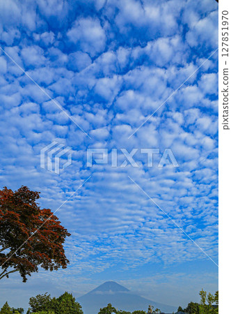Clouds and Mt. Fuji Clouds and Mt. Fuji 127851970