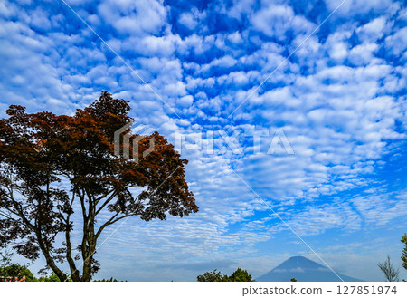 Clouds and Mt. Fuji 127851974