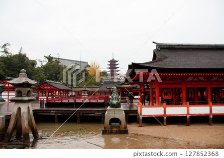 Miyajima Itsukushima Shrine Hiroshima Prefecture Miyajima Itsukushima Shrine Hiroshima Prefecture 127852368