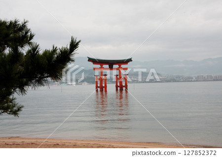 宮島嚴島神社 廣島縣 宮島嚴島神社 廣島縣 127852372