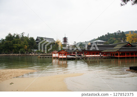 Miyajima Itsukushima Shrine Hiroshima Prefecture Miyajima Itsukushima Shrine Hiroshima Prefecture 127852375
