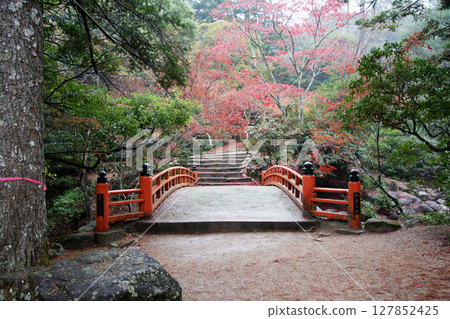 Hiroshima Miyajima Momijidani Park Hiroshima Miyajima Momijidani Park 127852425