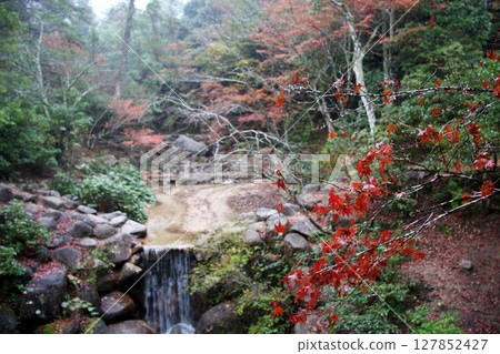 Hiroshima Miyajima Momijidani Park Hiroshima Miyajima Momijidani Park 127852427