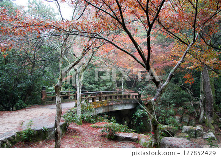 廣島 宮島 紅葉谷公園 廣島 宮島 紅葉谷公園 127852429