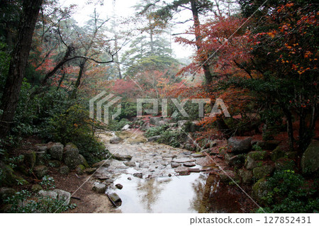 Hiroshima Miyajima Momijidani Park Hiroshima Miyajima Momijidani Park 127852431