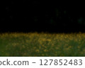 Dazzling dandelion bathed in sunlight and black background 127852483