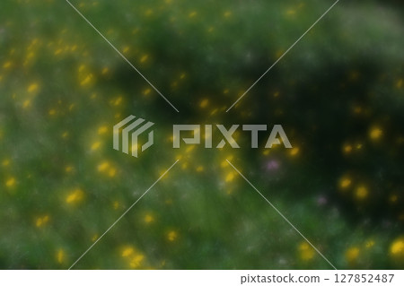 A close-up of a dazzling dandelion bathed in sunlight 127852487