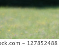 A large grassland in a park bathed in sunlight 127852488