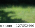 The dazzling light and shade of a park bathed in sunlight 127852490