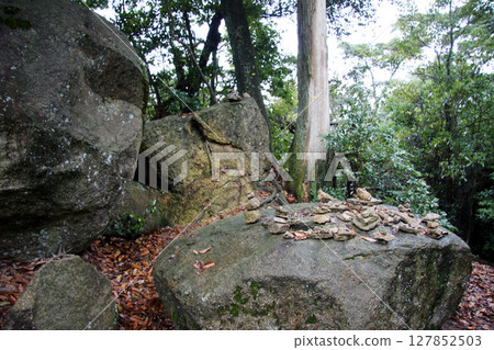 Hiroshima Miyajima Momijidani Park Mt. Misen 127852503
